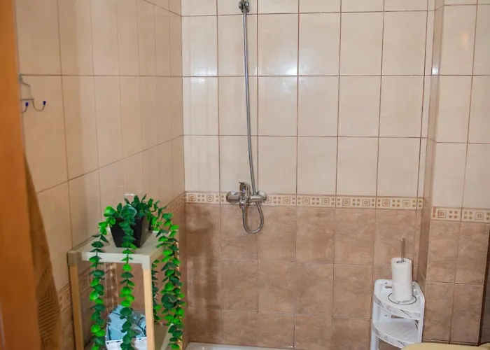 Roxy's House * Vlore